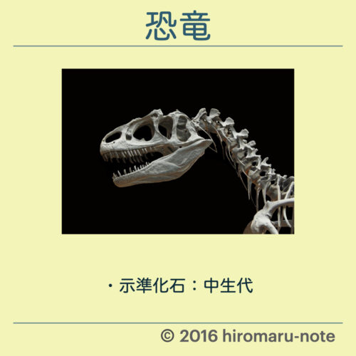 化石の種類とまとめ 示相化石と示準化石 Hiromaru Note